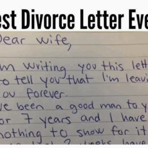 He Asked for a Divorce—Her Reply Made Him Regret Everything