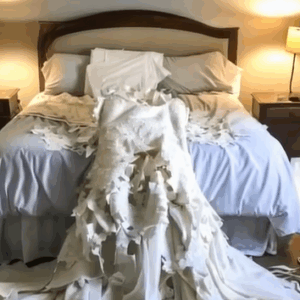 I Walked In to See My Daughter’s Wedding Dress Destroyed—And Who Did It Left Me Speechless