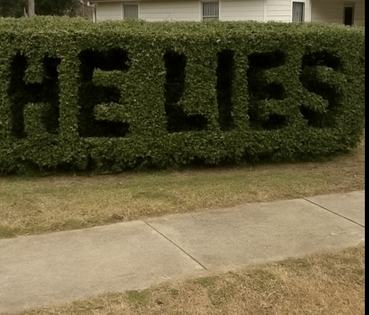 ‘He Lies’ Was Carved Into My Hedge—What I Uncovered Changed Everything