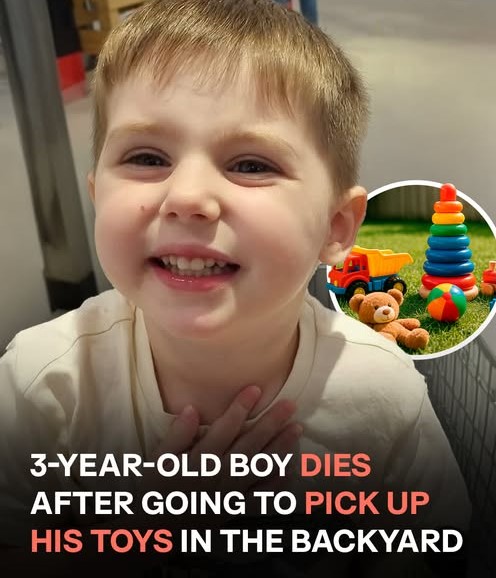 Tragic Loss: Toddler Drowns After Trying to Retrieve Toys