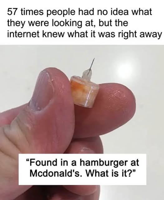 57 Strange Finds That Had the Internet Guessing