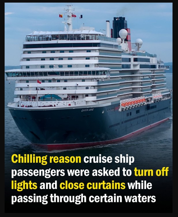 Cruise Passengers Asked to Dim Lights and Draw Curtains for a Surprising Safety Reason