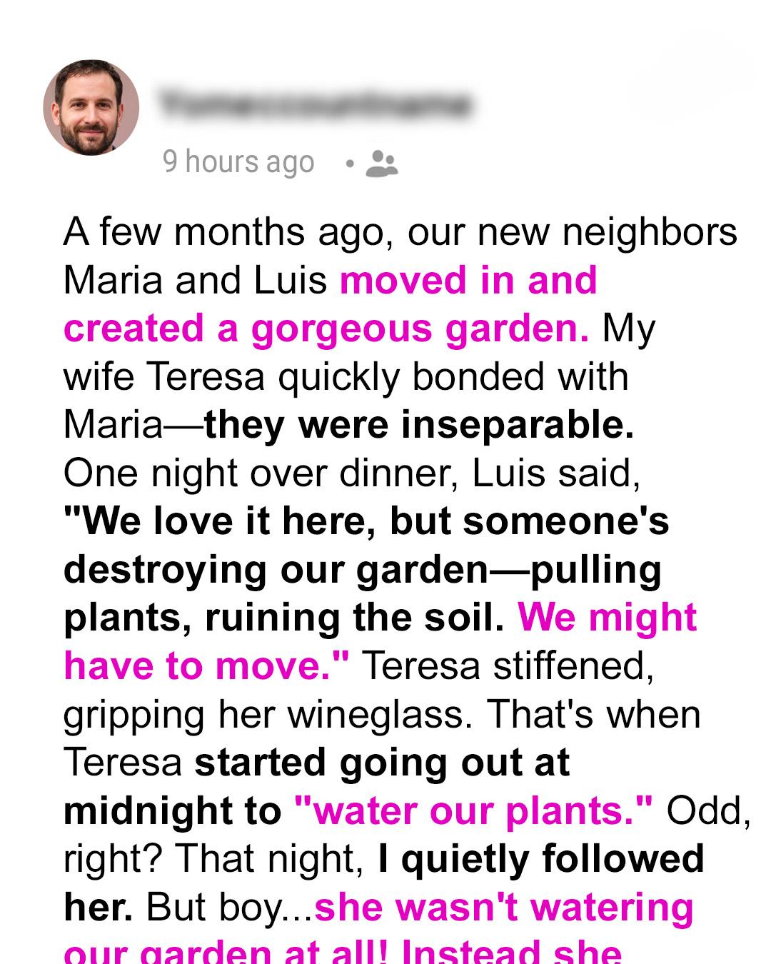 My Wife’s Midnight Secret: An Unbelievable Discovery