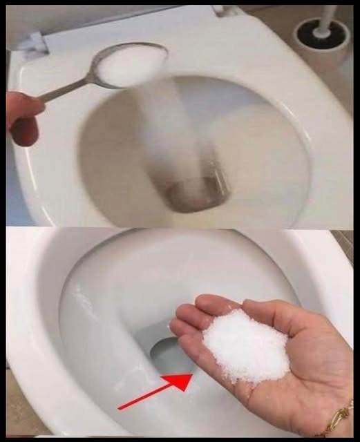 Here’s Why You Should Start Adding Salt to Your Toilet