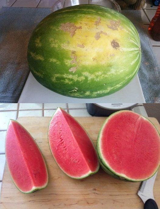 How to Choose a Sweet and Juicy Watermelon: Easy Tips That Work