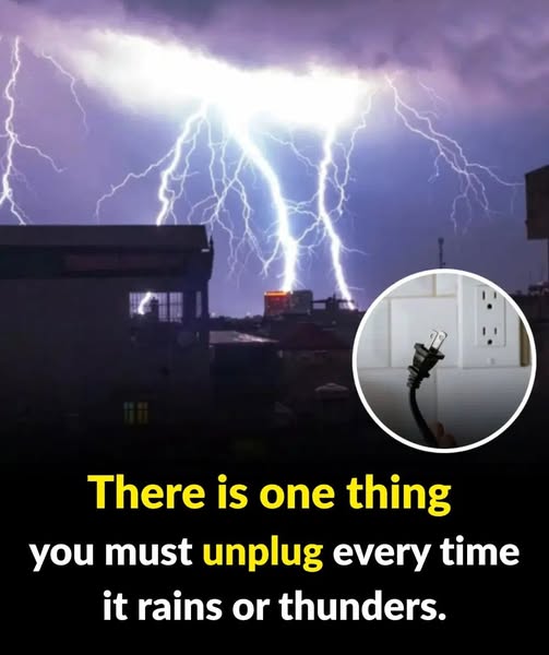 The One Device You Should Always Unplug During Storms to Protect Your Home