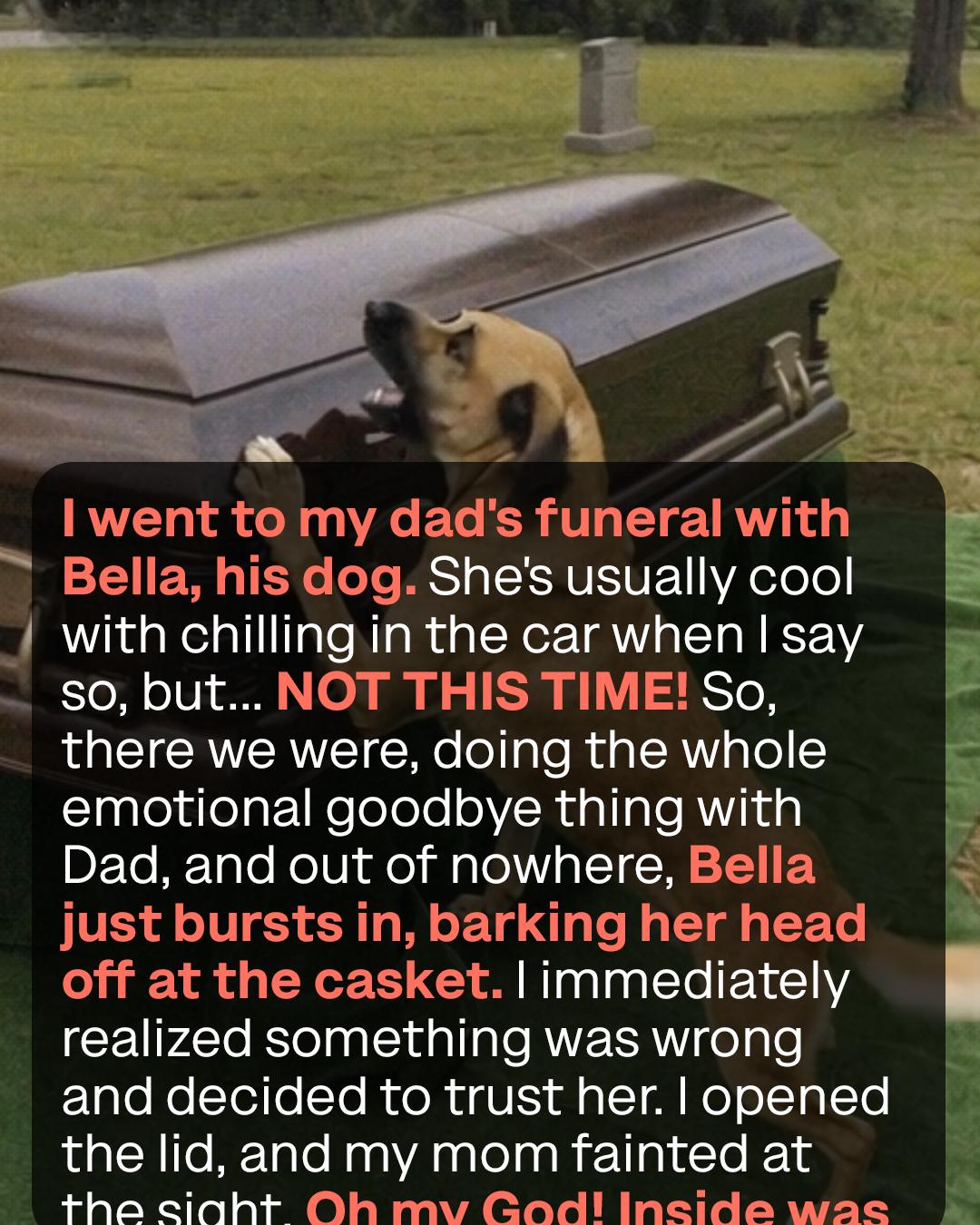 Dog Barks at Father’s Funeral—Son Opens Casket and Uncovers Shocking Truth Dog Barks at Father’s Funeral—Son Opens Casket and Uncovers Shocking Truth