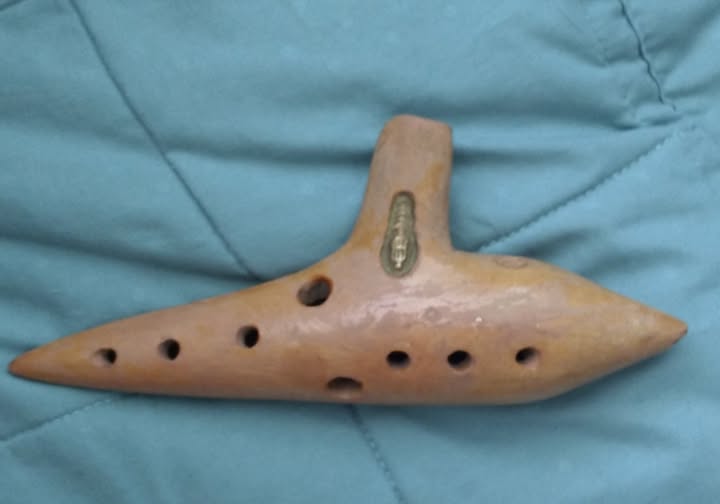 I Found a Rare Italian Ocarina in a Thrift Store for Just One Dollar