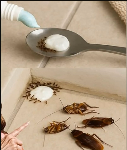 Try This Simple Homemade Mix to Keep Flies and Pests Away Naturally