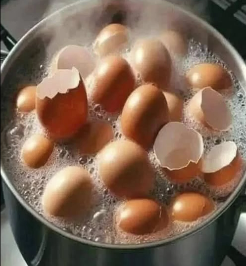 Don’t Throw Away Eggshells — Here’s How They Benefit Your Health and Garden