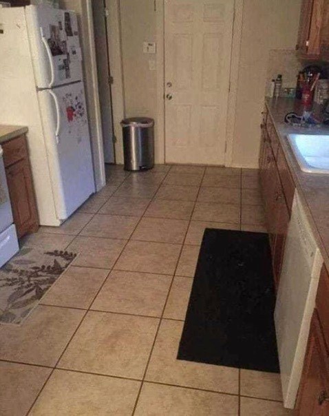 Can You Spot the Hidden Dog in This Kitchen Photo? Most People Miss It at First Glance