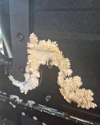 A Shocking Discovery Under My Car Seat Changed How I See Safety A Shocking Discovery Under My Car Seat Changed How I See Safety