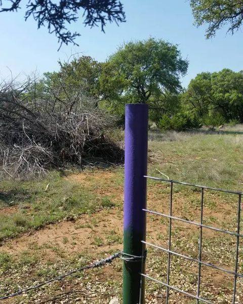 What Purple Fence Posts Really Mean – And Why You Should Never Ignore Them