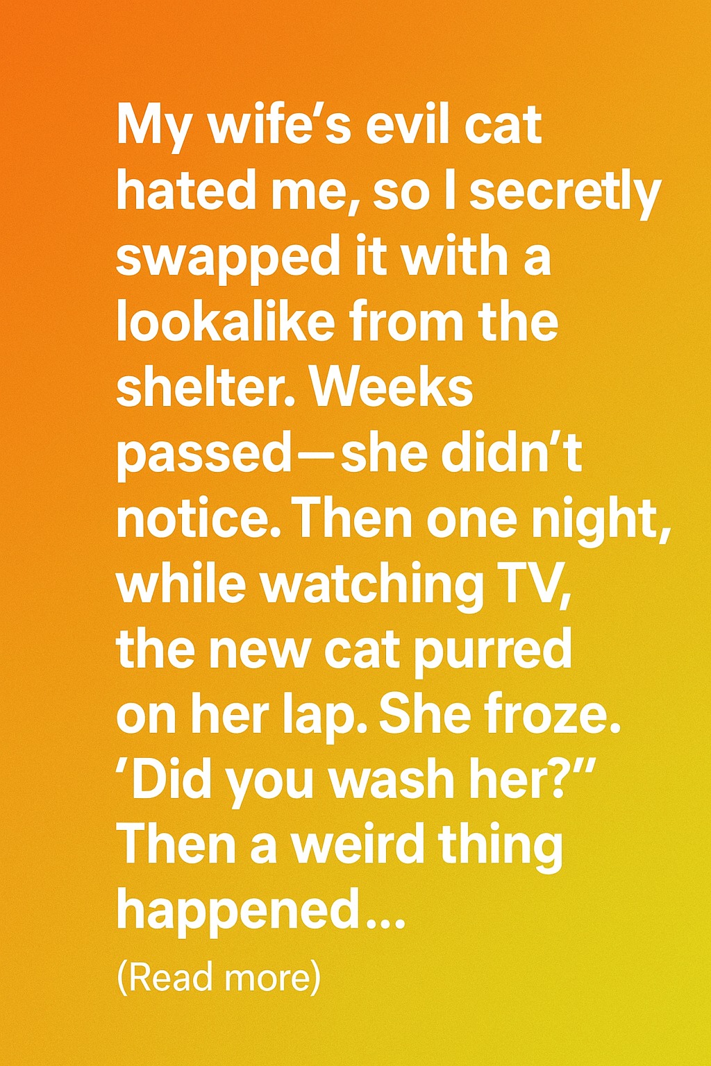 The Cat Swap Secret That Almost Cost Me My Marriage