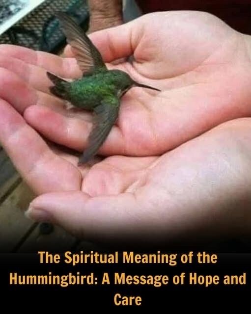 The Deeper Meaning When a Hummingbird Appears at Your Home