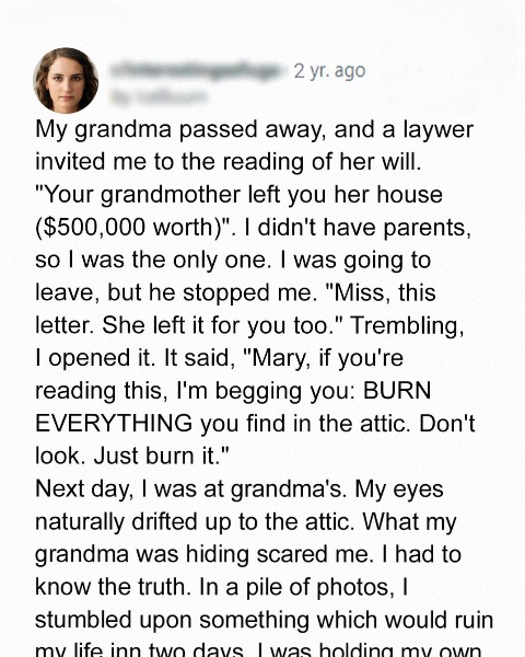 My Inheritance Letter Said ‘Clear Everything in the Attic,’ and I Only Understood Why After Ignoring It – Story of the Day