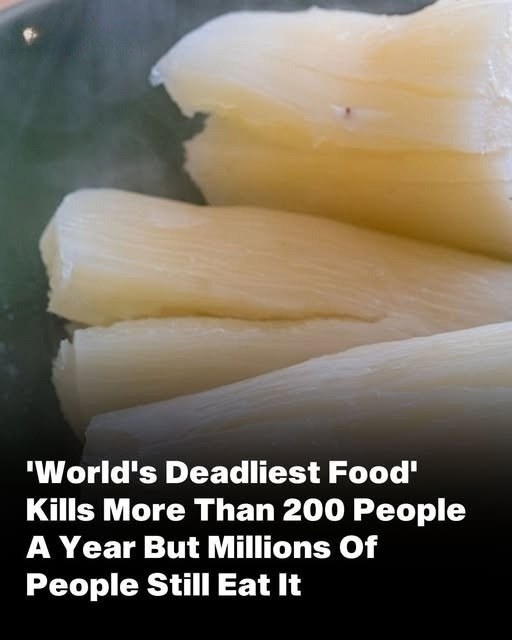 Despite Being the ‘World’s Deadliest Food,’ 500 Million Still Consume It, and It Claims Over 200 Lives Annually