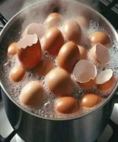 Stop Throwing Away Eggshells: Boil Them and Unlock Their Hidden Benefits