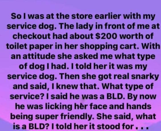 My Service Dog’s Clever Response Left a Rude Shopper Speechless