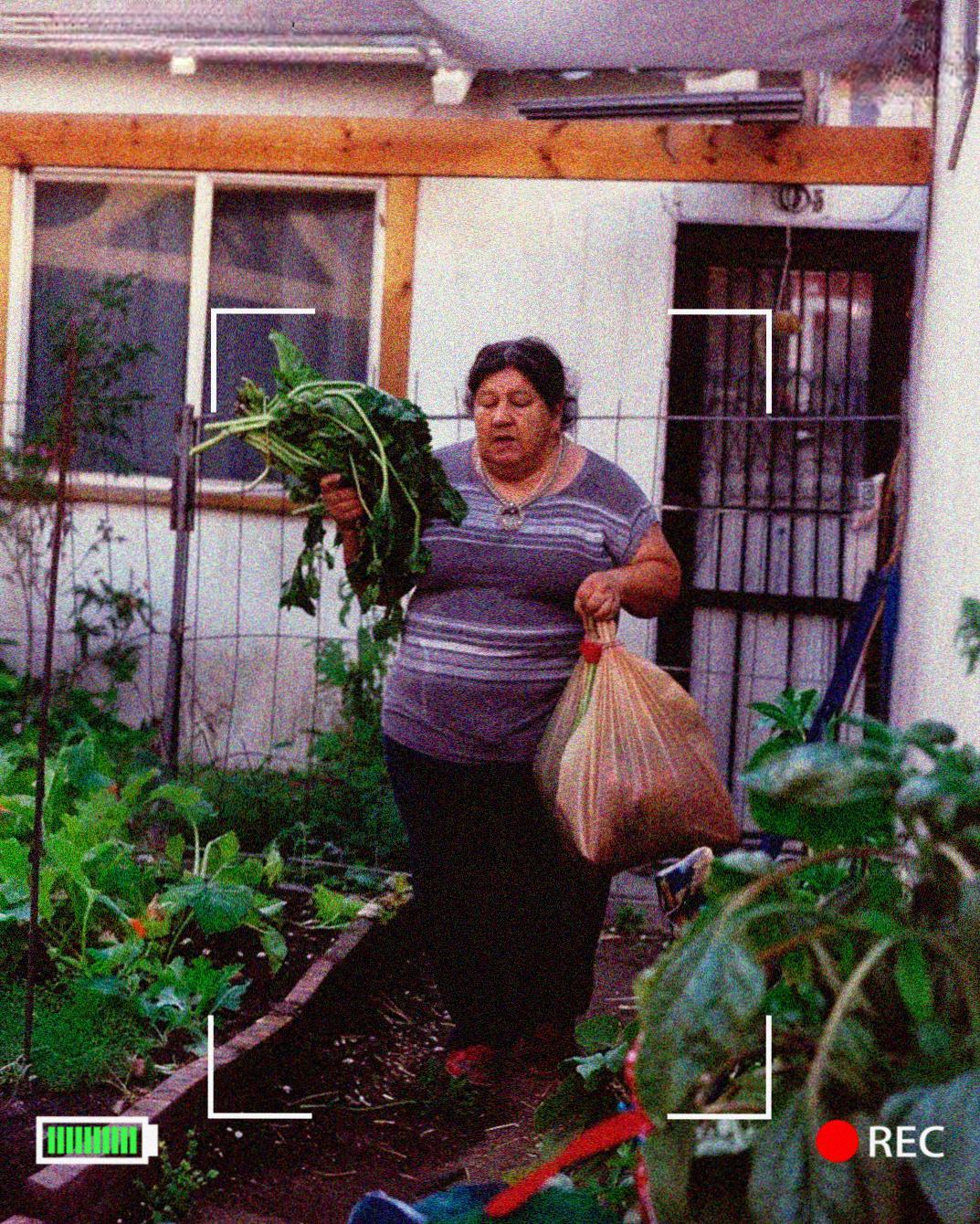 My Neighbor Stole from My Garden — But She Never Expected How I’d Respond