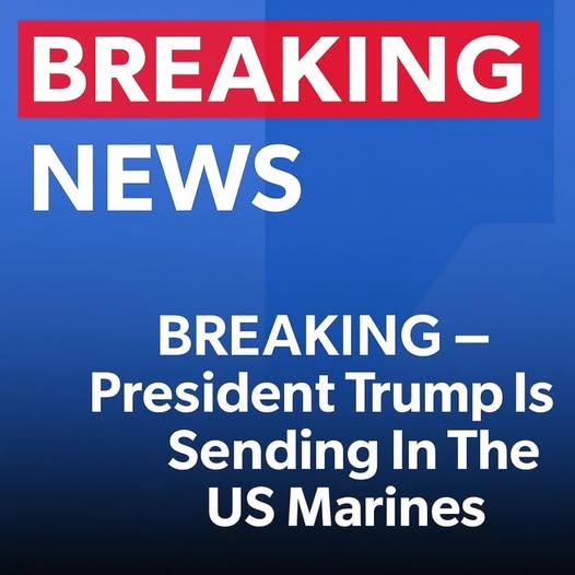 Trump Sends U.S. Marines to Support Immigration Operations