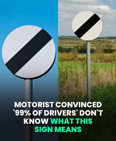 The Road Sign That Leaves Drivers Guessing — Do You Know Its Real Meaning?