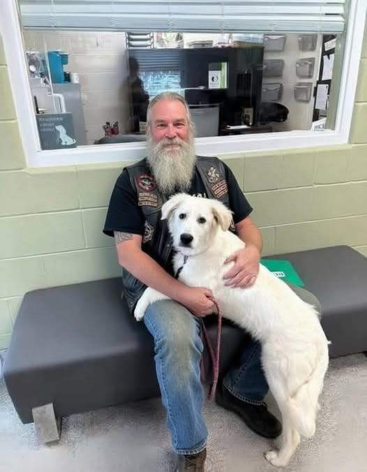 A Midnight Ride, a Lonely Dog, and a Letter That Changed Everything