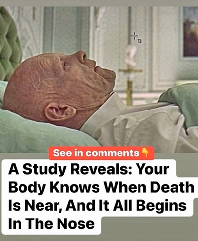 The Psychology of Smell: How Scents Influence Human Behavior