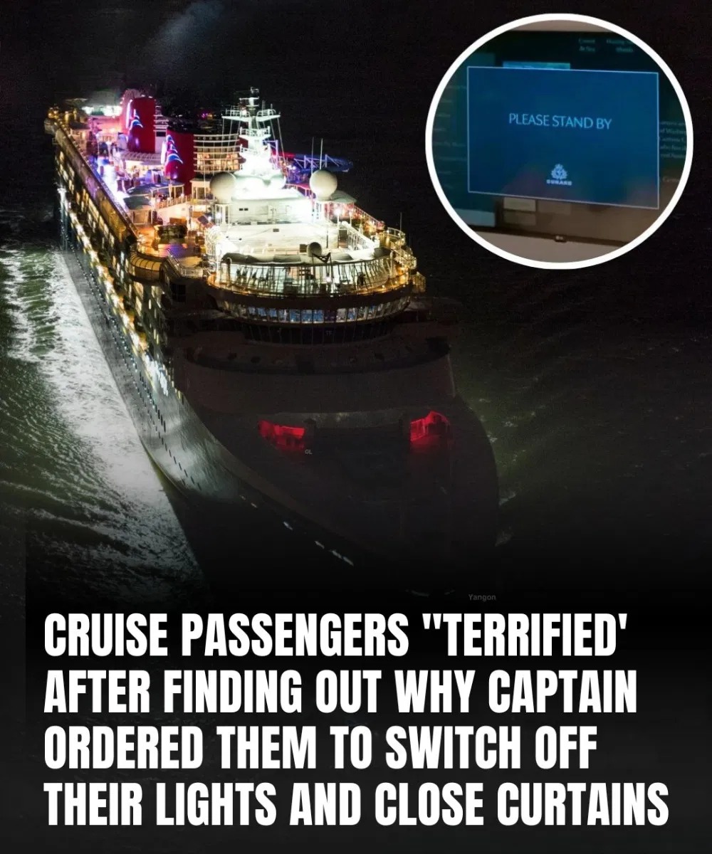 Cruise Passengers Were Told to Turn Off Their Lights and Shut Curtains — The Real Reason Left Everyone Speechless