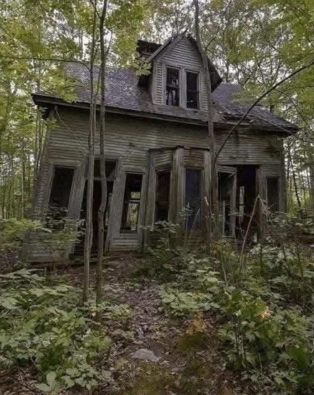 The Forgotten House That Came Back to Life — and the Love Story Hidden Within Its Walls The Forgotten House That Came Back to Life — and the Love Story Hidden Within Its Walls