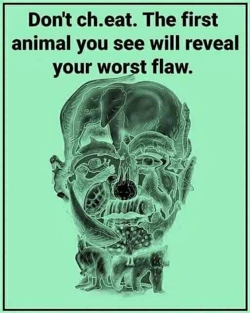 The First Animal You Spot Reveals a Unique Side of Your Personality