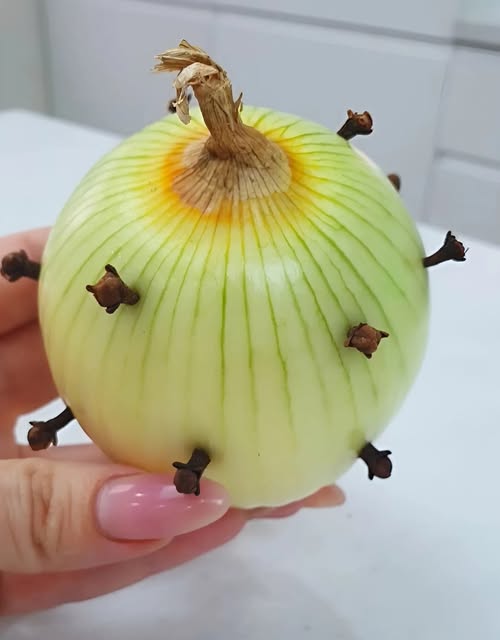 My Grandmother’s Secret Kitchen Trick: Why She Always Poked Cloves into an Onion Before Cooking