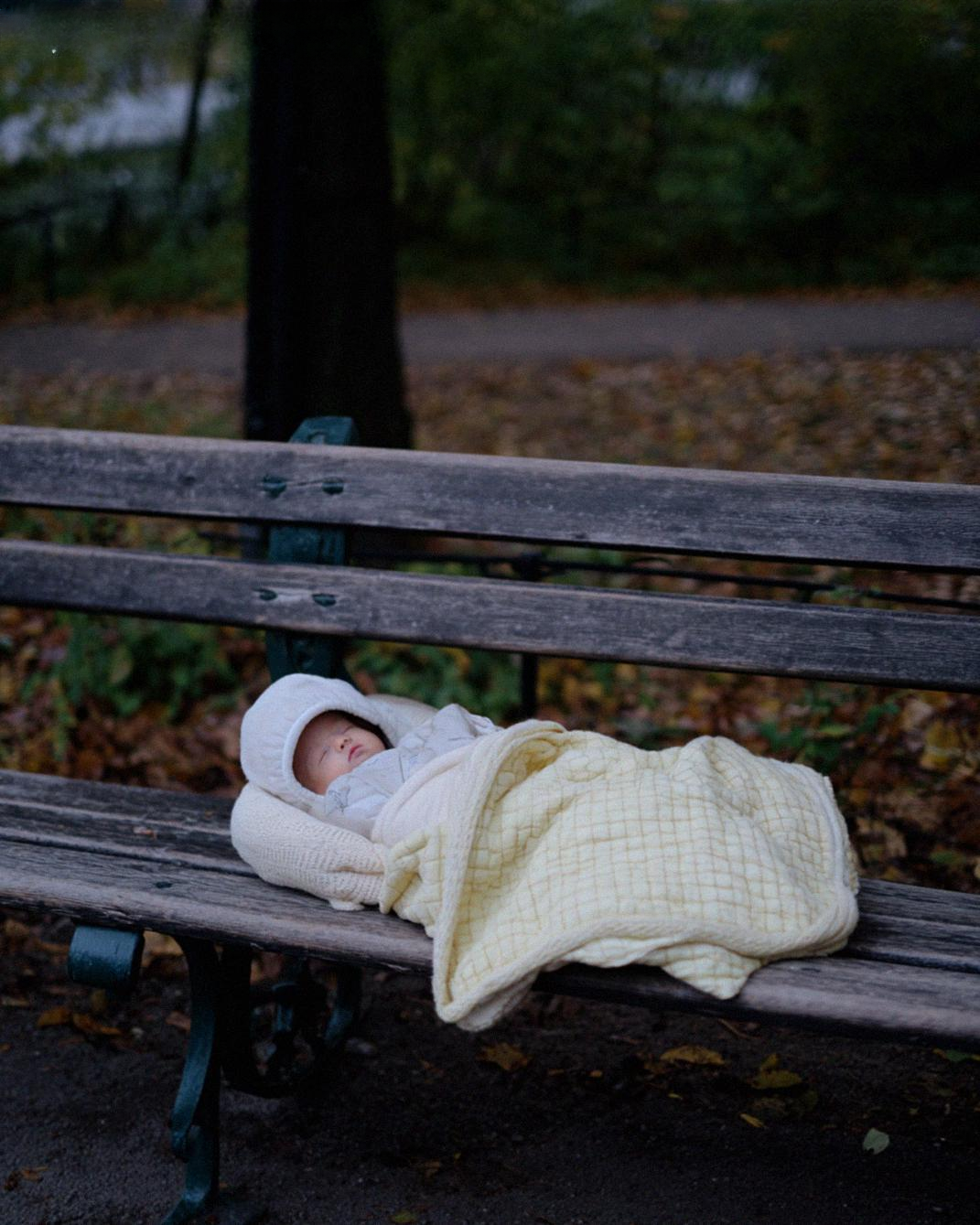 I Found a Baby on a Cold Morning — What Happened Next Changed Everything