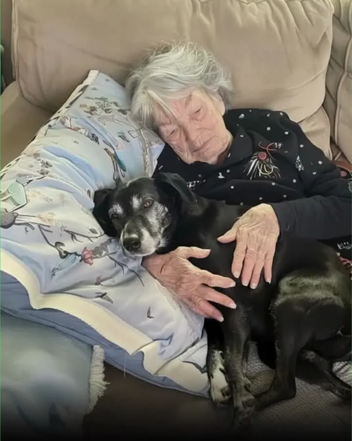 I Took in My Late Grandma’s Dog — Then Found the Secret She Left Hidden Just for Me