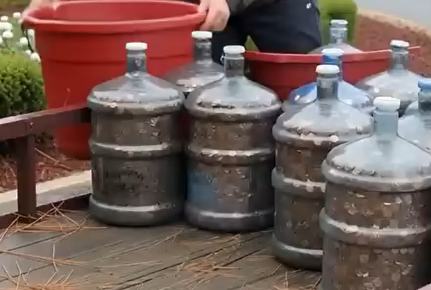 He Collected Pennies for 45 Years — What Happened Next Left Everyone Speechless