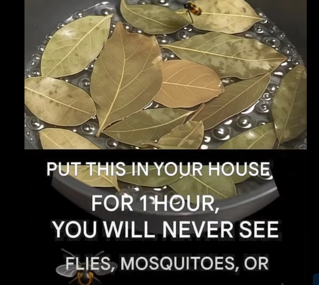 The Natural Way to Keep Pests Away — Simple Home Tricks That Really Work The Natural Way to Keep Pests Away — Simple Home Tricks That Really Work