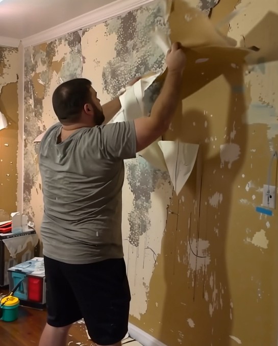 He Took Back the Wallpaper After Our Divorce—But Life Had the Last Word