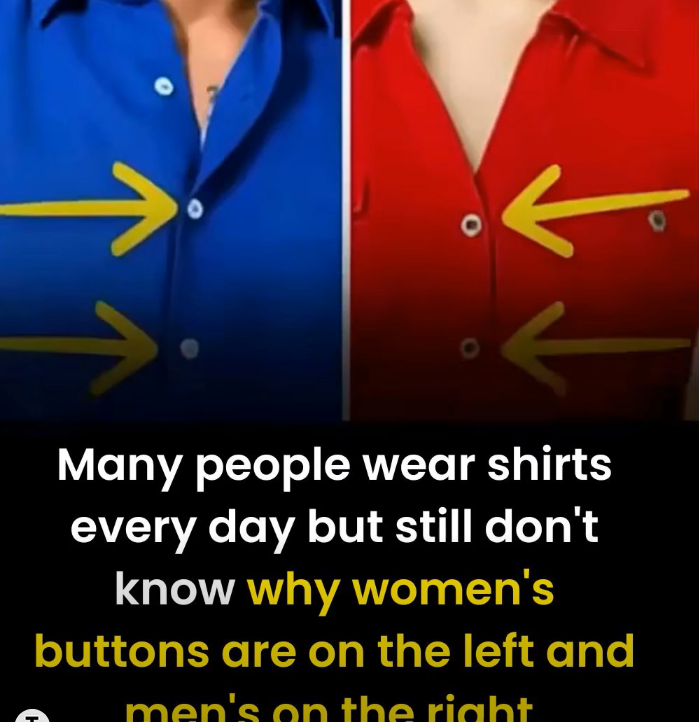 Why Men’s and Women’s Shirt Buttons Are on Opposite Sides — The Tradition You Never Noticed