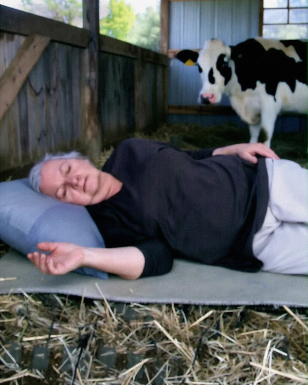 My Daughter-in-Law Made Me Move Into an Old Barn — But the Ending Left Her Speechless