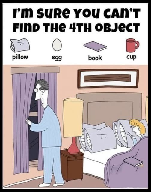 Can You Find the Hidden Book, Egg, Cup, and Pillow Before Time Runs Out?
