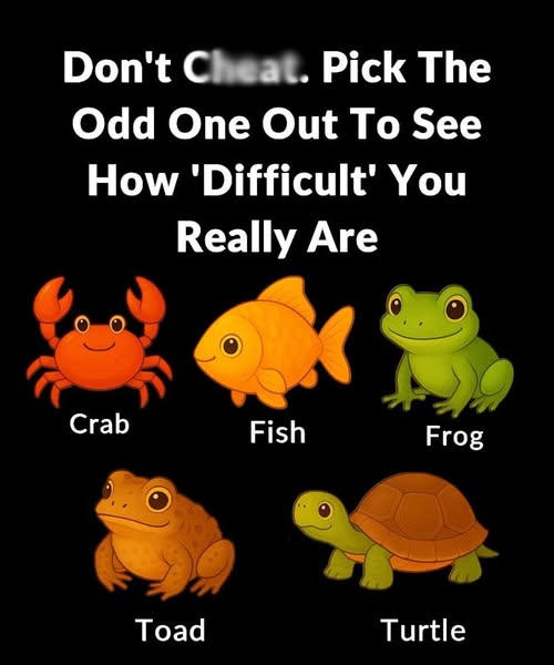 Choose the Odd One Out and Discover Something Interesting About Yourself