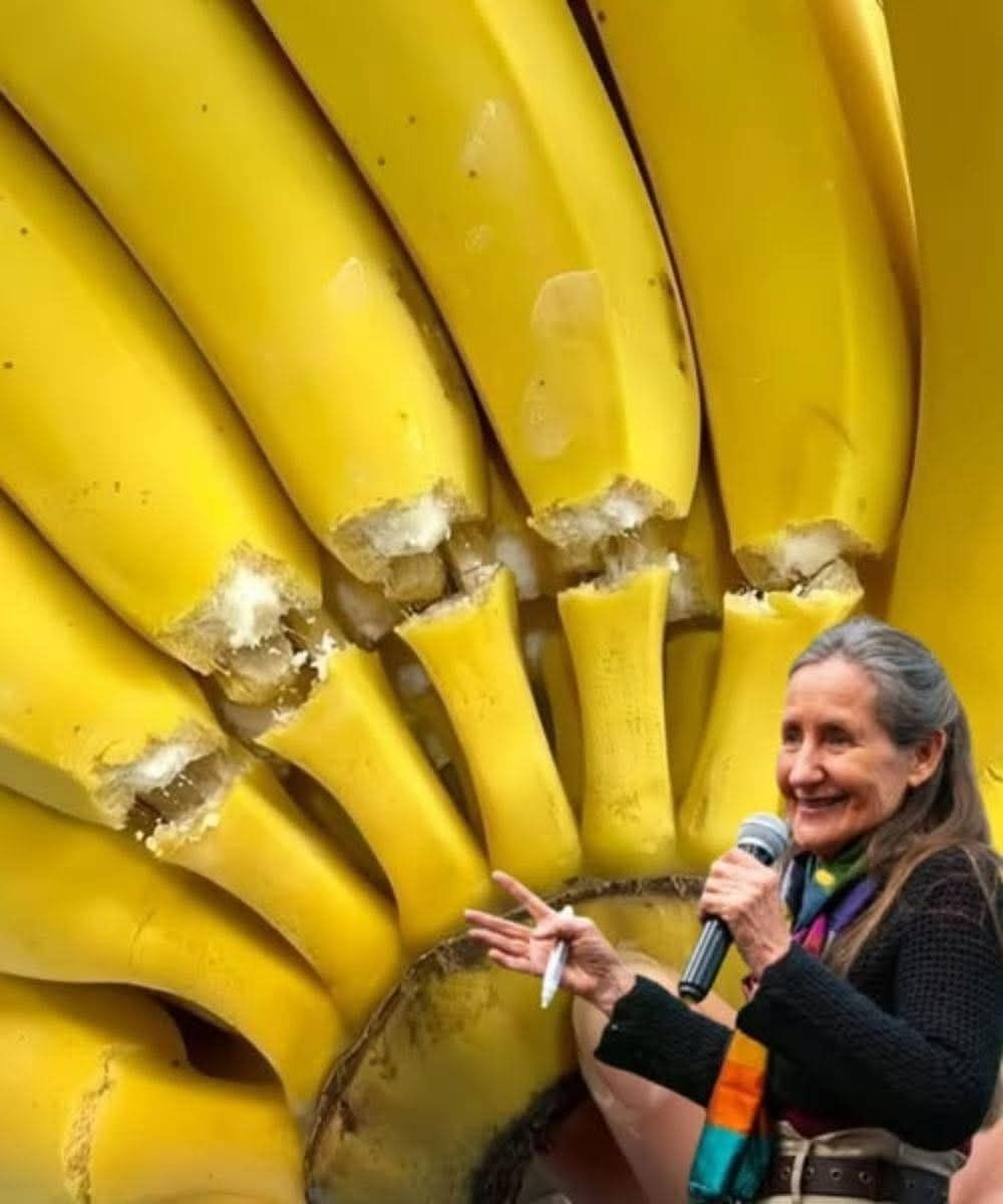 Interesting Insights About Bananas: What You May Not Know About This Popular Fruit