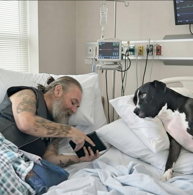 She Arrived With Papers to Take His Dog — But a Hospital Room Changed Their Story Instead
