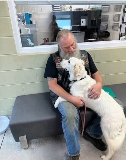 A Late-Night Ride, a Lost Dog, and a Choice That Changed Two Lives