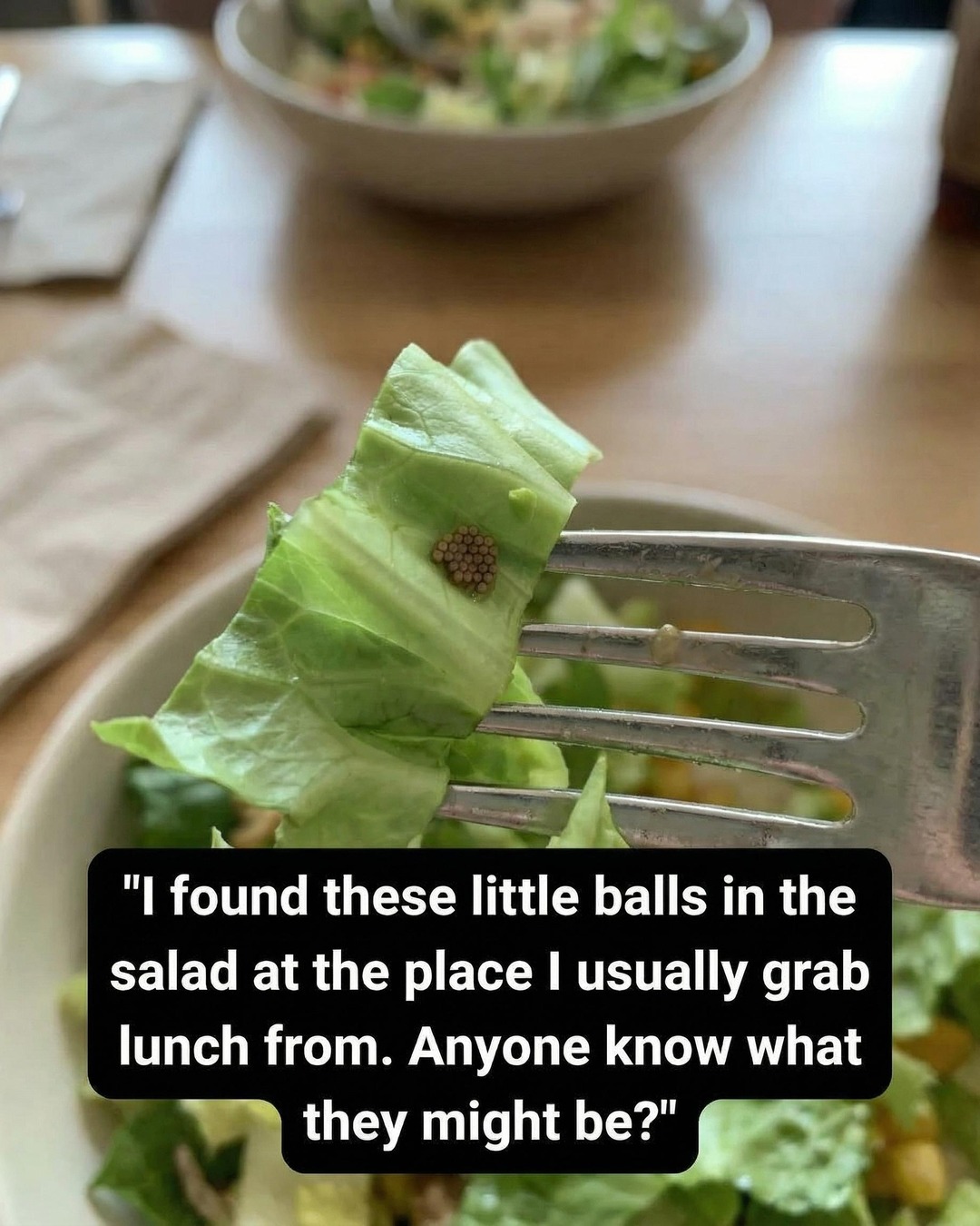 She Thought It Was Quinoa—What She Discovered Instead Changed How She Prepares Food