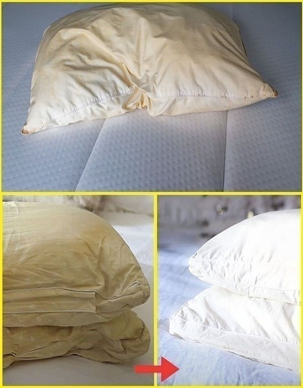 Simple Methods to Clean Your Bed Pillows and Bring Back Their Fresh, Bright Look