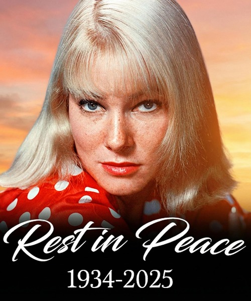 Remembering May Britt, the Actress Who Quietly Redefined Hollywood’s Boundaries