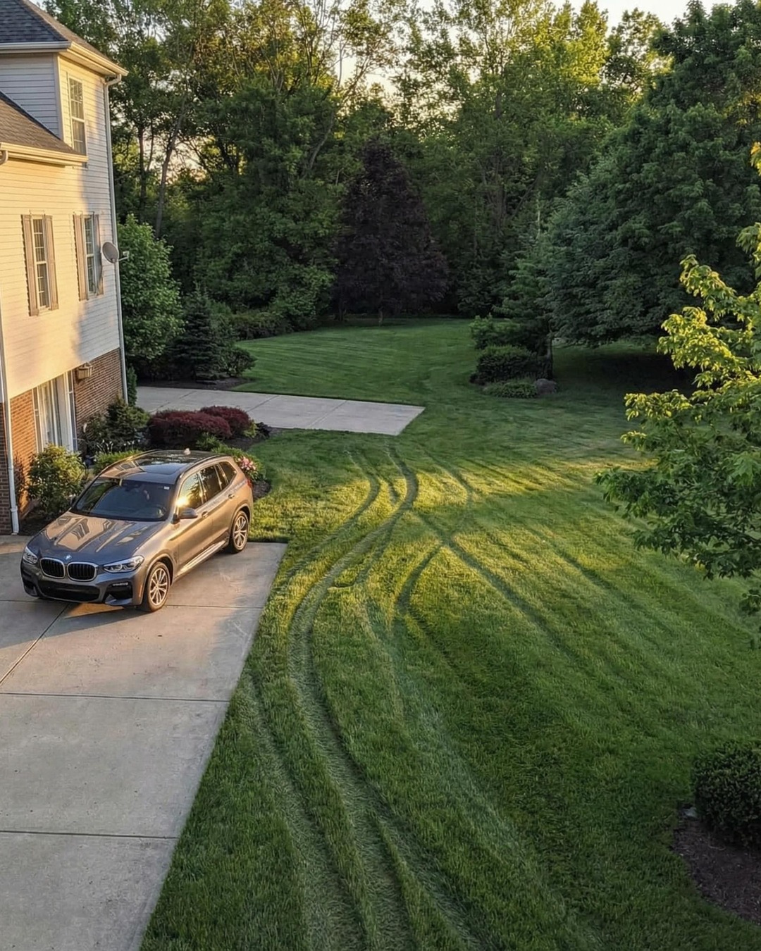How a Simple Lawn Issue Taught Me the Power of Setting Boundaries