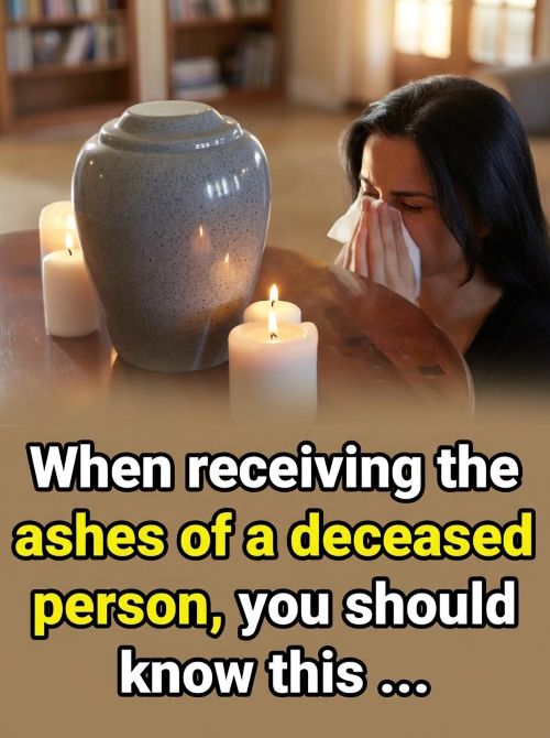 Should You Keep a Loved One’s Ashes at Home? Gentle Guidance for a Personal Choice
