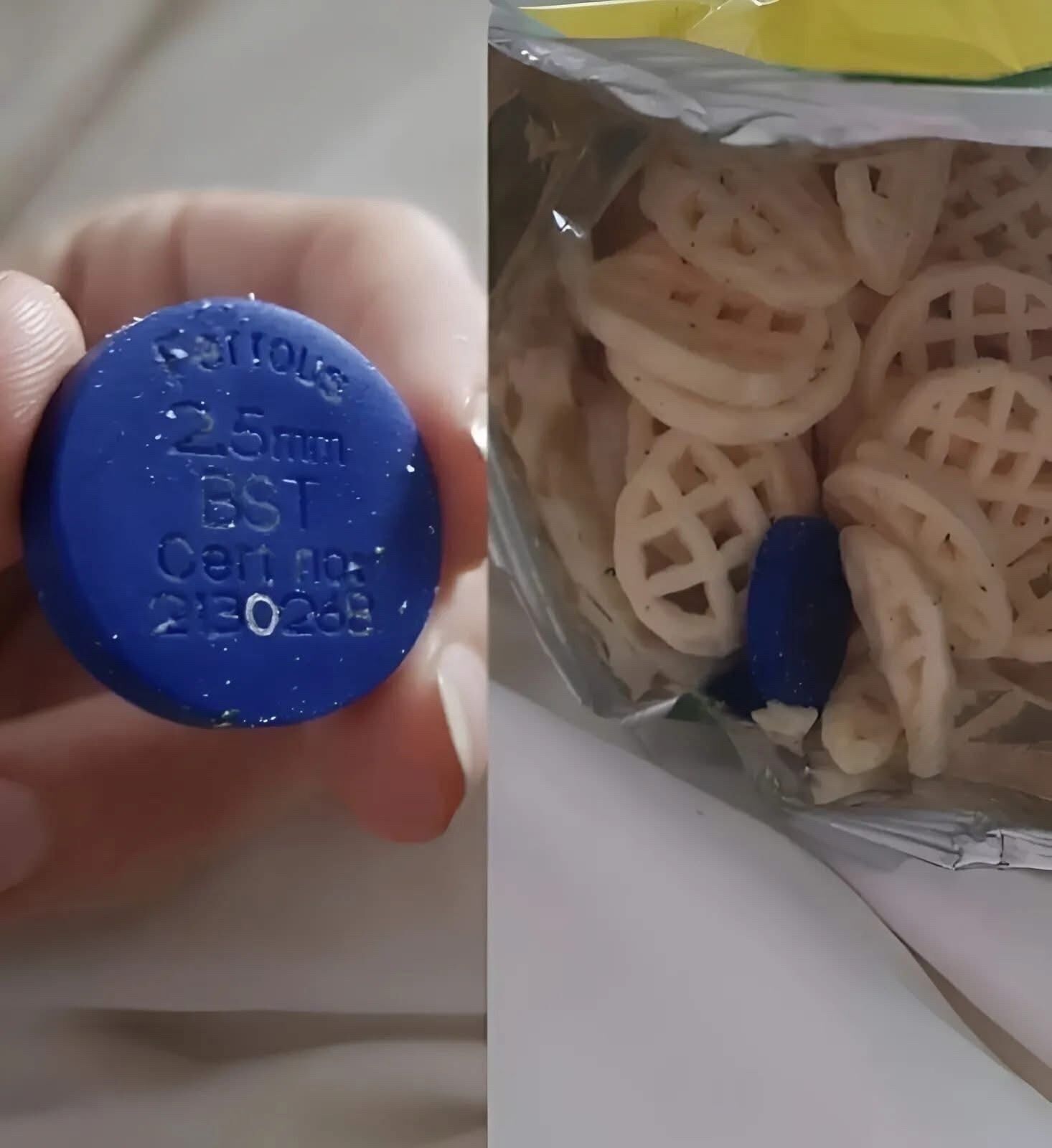 We Found a Strange Blue Object in a Bag of Chips—Here’s What It Turned Out to Be
